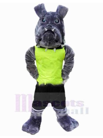 Hund maskottchen kostüm