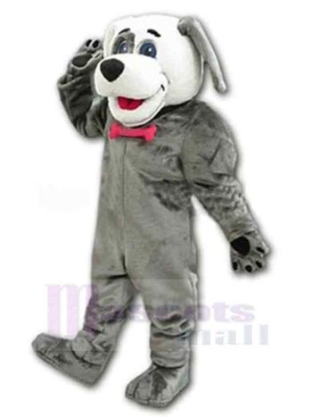 Hund maskottchen kostüm