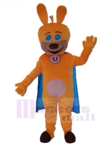 Hund maskottchen kostüm