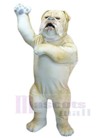 Hund maskottchen kostüm