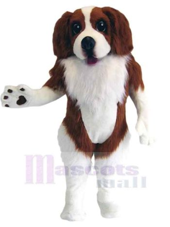 Hund maskottchen kostüm
