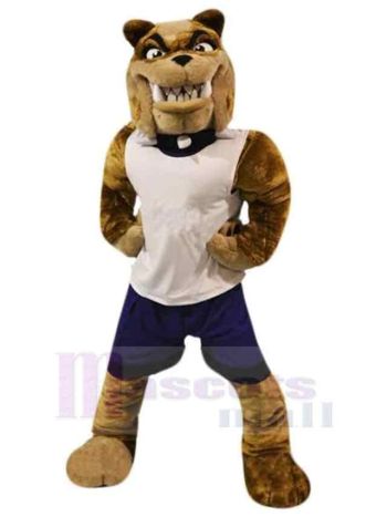 Hund maskottchen kostüm