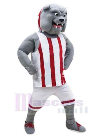Hund maskottchen kostüm
