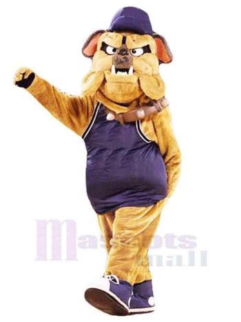 Hund maskottchen kostüm