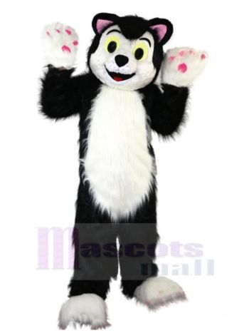 Hund maskottchen kostüm