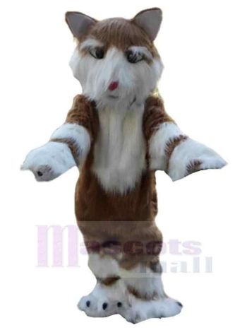 Hund maskottchen kostüm
