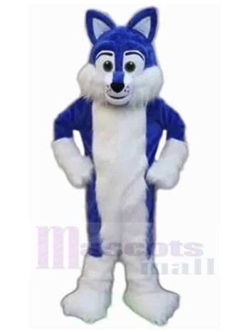 Hund maskottchen kostüm