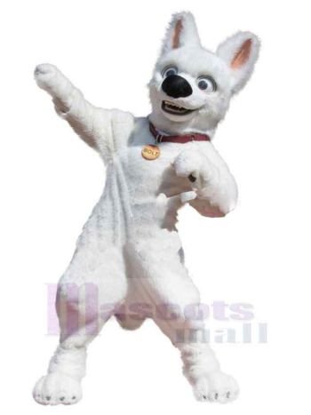 Hund maskottchen kostüm