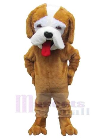 Hund maskottchen kostüm
