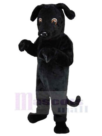 Hund maskottchen kostüm