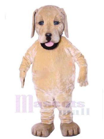 Hund maskottchen kostüm