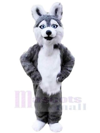 Hund maskottchen kostüm