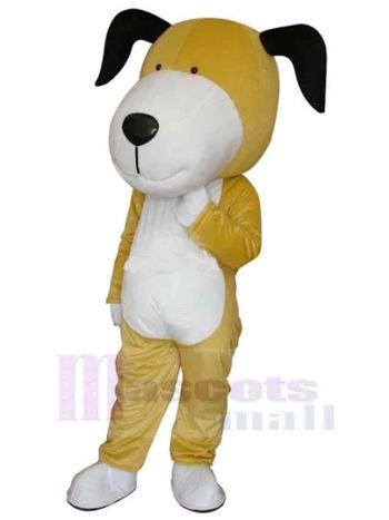 Hund maskottchen kostüm