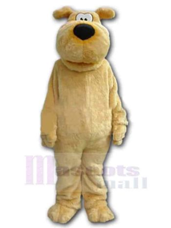 Hund maskottchen kostüm