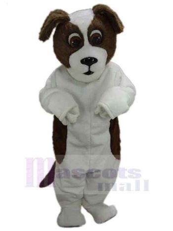 Hund maskottchen kostüm