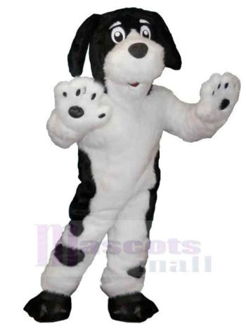 Hund maskottchen kostüm