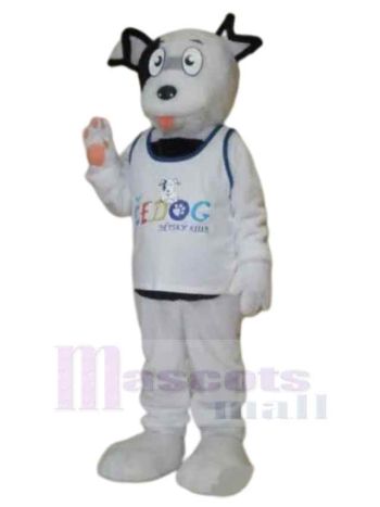 Hund maskottchen kostüm
