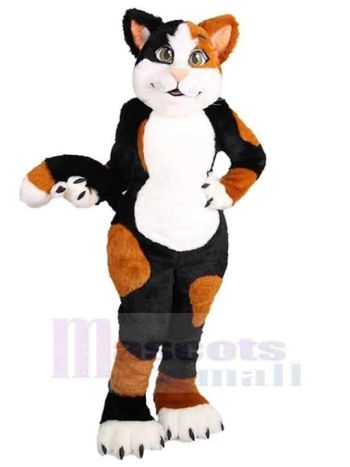 Katze maskottchen kostüm