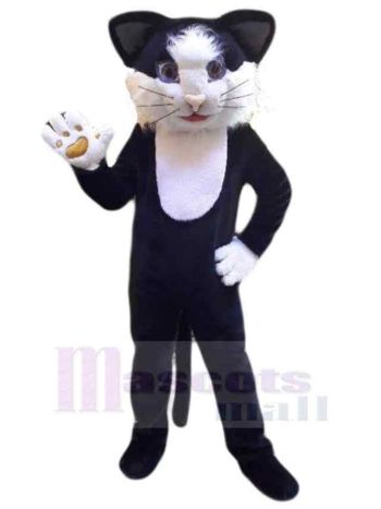 Katze maskottchen kostüm