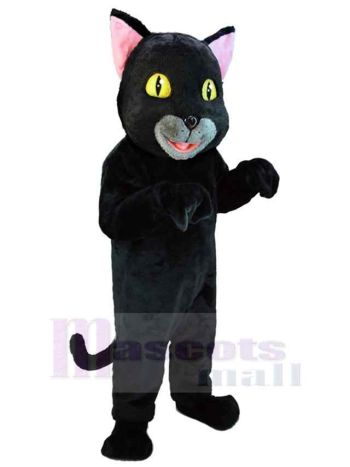 Katze maskottchen kostüm
