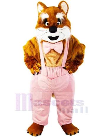 Katze maskottchen kostüm
