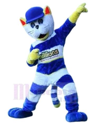 Katze maskottchen kostüm