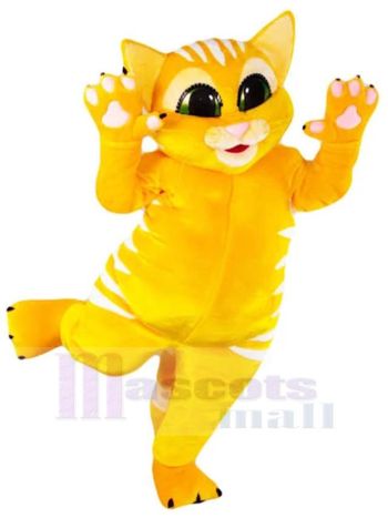 Katze maskottchen kostüm