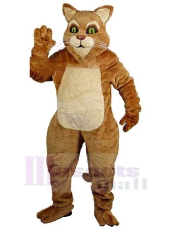 Katze maskottchen kostüm