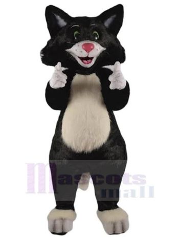Katze maskottchen kostüm