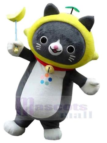 Katze maskottchen kostüm