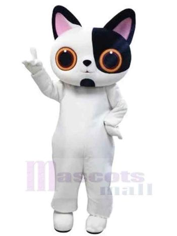 Katze maskottchen kostüm