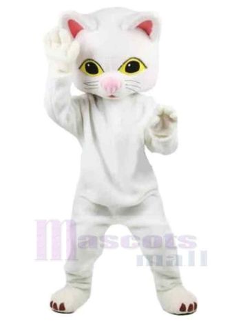 Katze maskottchen kostüm