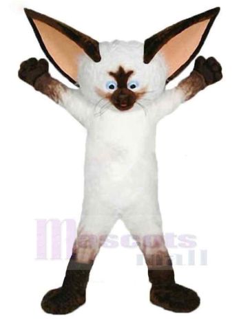 Katze maskottchen kostüm