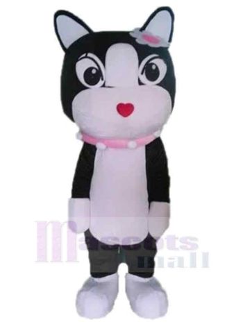 Katze maskottchen kostüm