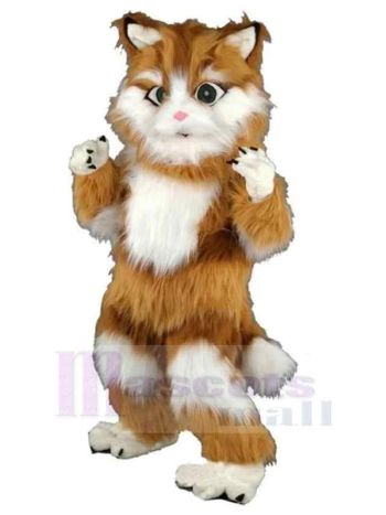 Katze maskottchen kostüm
