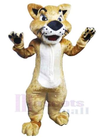 Katze maskottchen kostüm