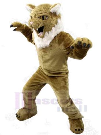 Katze maskottchen kostüm