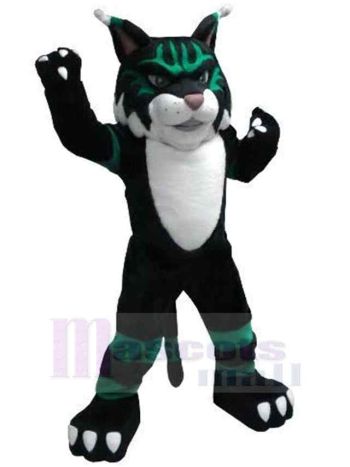 Katze maskottchen kostüm