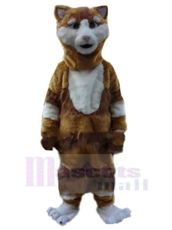Katze maskottchen kostüm