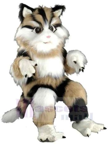 Katze maskottchen kostüm