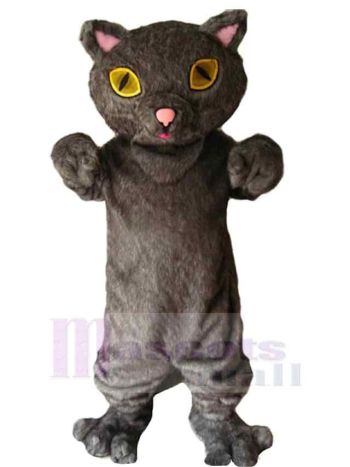 Katze maskottchen kostüm