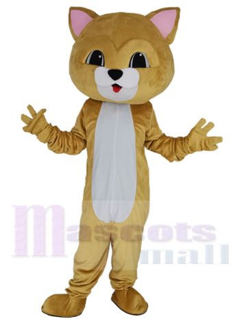 Katze Maskottchenkostüm