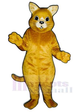 Katze maskottchen kostüm