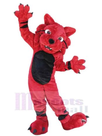 Katze maskottchen kostüm