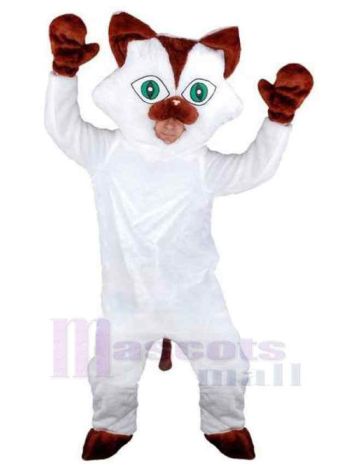 Katze maskottchen kostüm