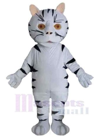 Katze maskottchen kostüm