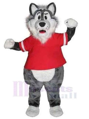 Wolf maskottchen kostüm