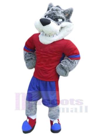 Wolf maskottchen kostüm