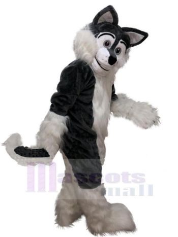 Wolf maskottchen kostüm