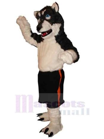 Wolf maskottchen kostüm